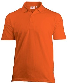 BASIC Polo