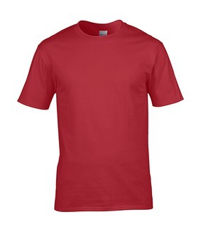 4100 Ring Spun T-shirt