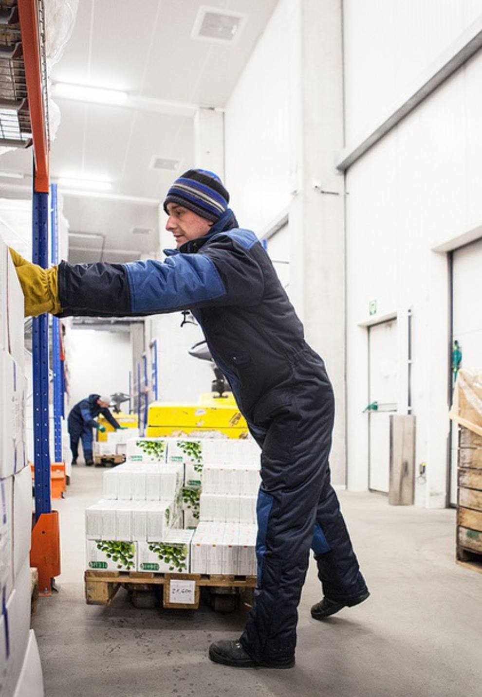 MATTERHORN Diepvries Overall