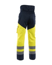 1920 Zaagbroek High. Vis.